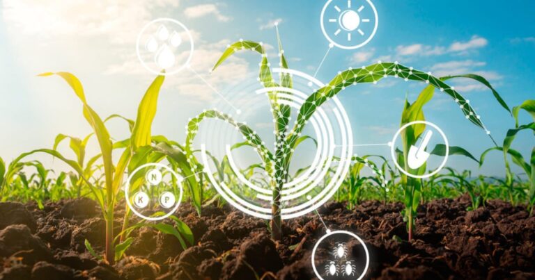 Seguro rural: cresce a importância da tecnologia para reduzir riscos