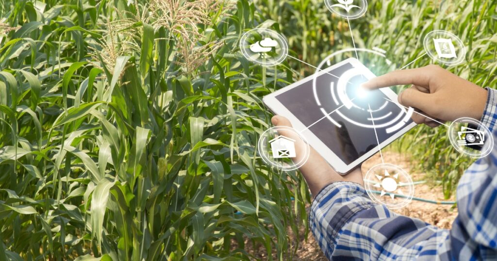 seguro rural tecnologia