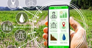 iRancho lança aplicativo para apoiar profissionais da reprodução bovina