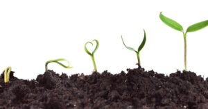 Brasil lidera avanço global da produção agrícola e impulsiona setor de nutrição vegetal