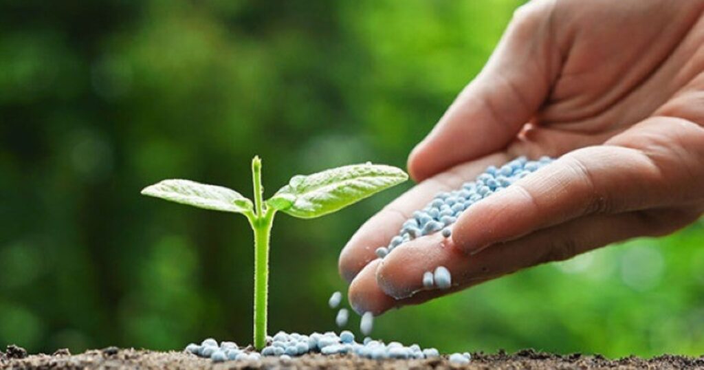 crescimento agrícola Brasil
