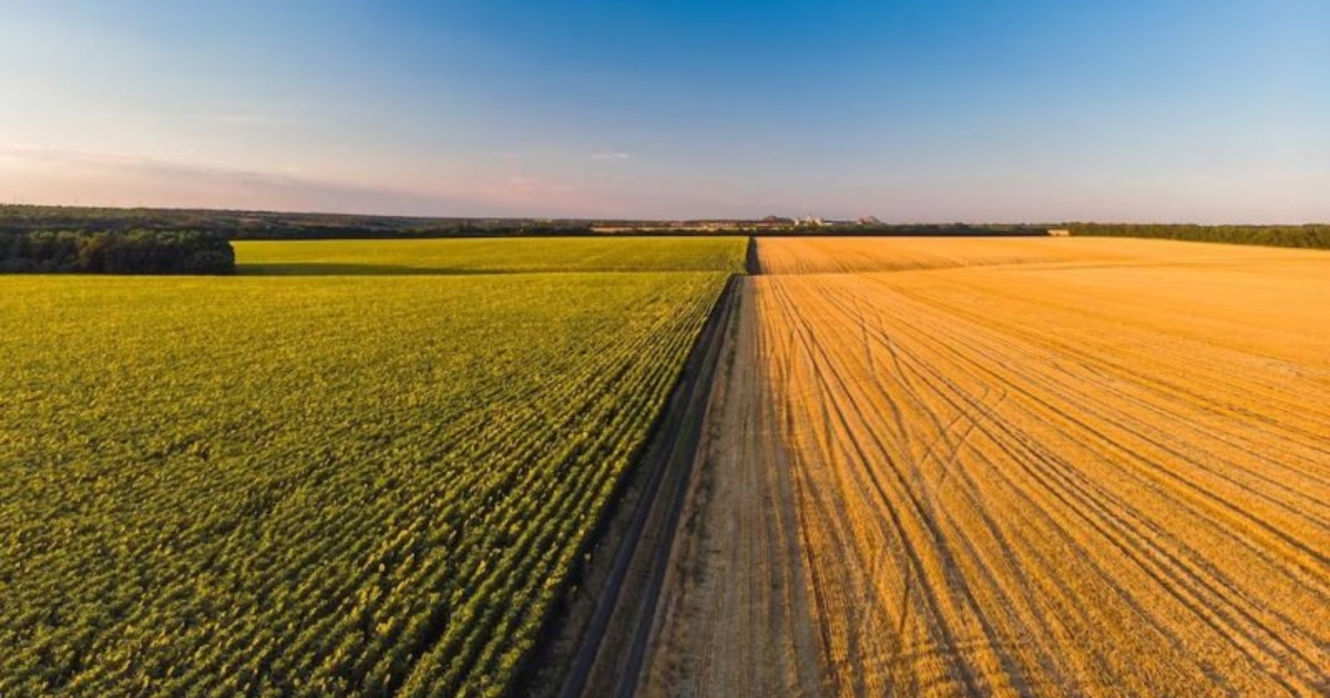 agronegócio em 2025