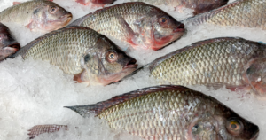 Governo suspende elaboração da lista de espécies invasoras após reação do setor aquícola