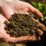 Brasil amplia programas de recuperação e mapeamento de solos