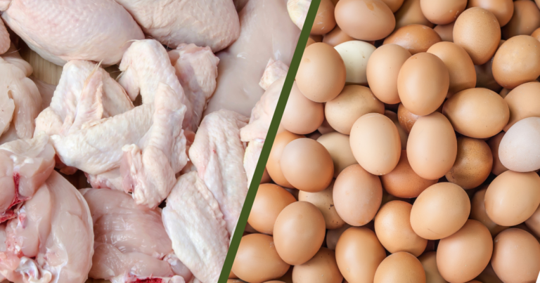 Mercados de ovos e carne de frango recuam em novembro