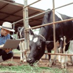 A conexão entre crédito rural e produção agropecuária