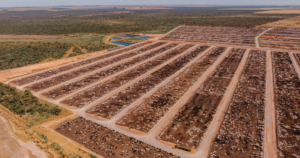 Benchmarking Confina Brasil 2025 reforça avanço da pecuária intensiva no país