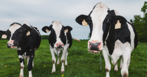 Caravana Giro do Leite marca presença no Encontro de Produtores em Cássia dos Coqueiros