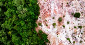 Como o Brasil pode liderar com transparência o mercado de crédito de carbono