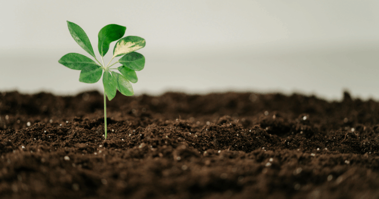 China vira maior fornecedor de fertilizantes do Brasil