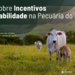Rastreabilidade ganha impulso no Brasil e estudo destaca caminhos para adoção inclusiva no Pará