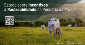 Rastreabilidade ganha impulso no Brasil e estudo destaca caminhos para adoção inclusiva no Pará
