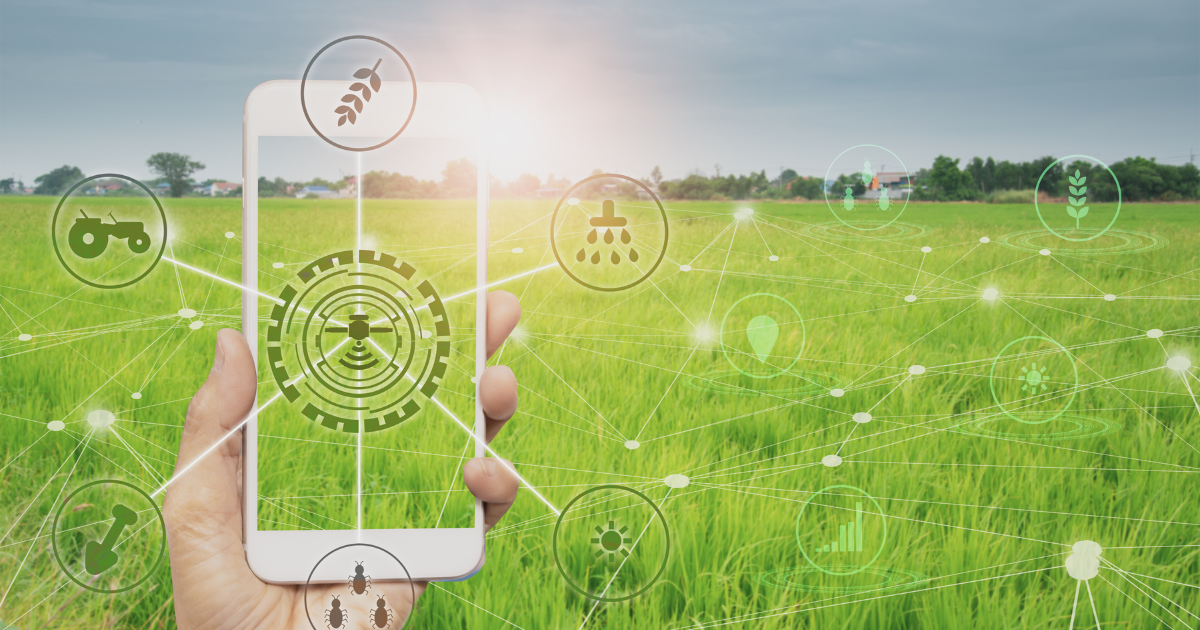 campo,on farm,tecnologia