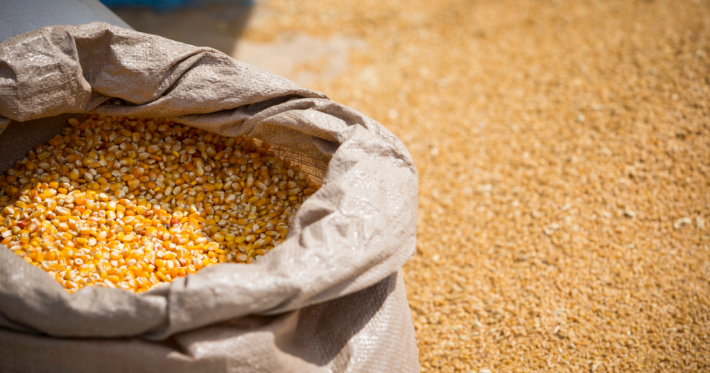 BNDES,crédito,rural,BNDES aprova R$ 5,2 bilhões para produtores rurais impactados por eventos climáticos,com foco em agricultores familiares,médios produtores e cooperativas.