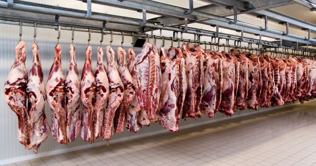 minerva foods,segurança operacional,frigorífico
