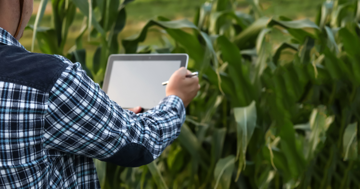 marketing,consumidor,agro