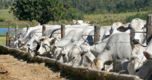 O resultado que você não tem está relacionado à decisão que você não toma