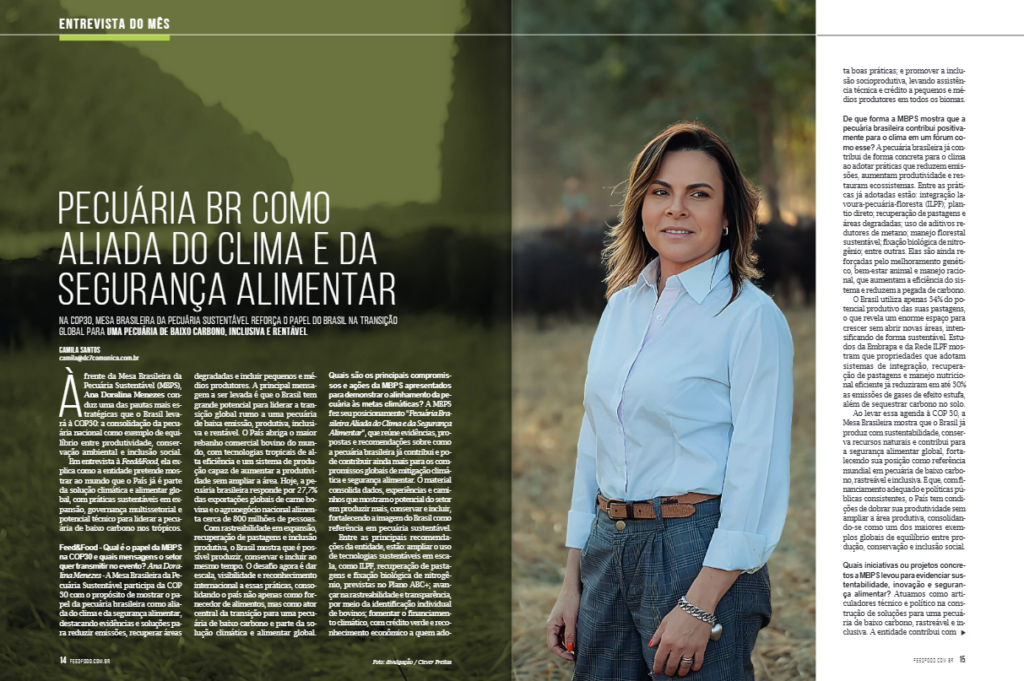 pecuária,bovinocultura,COP30
