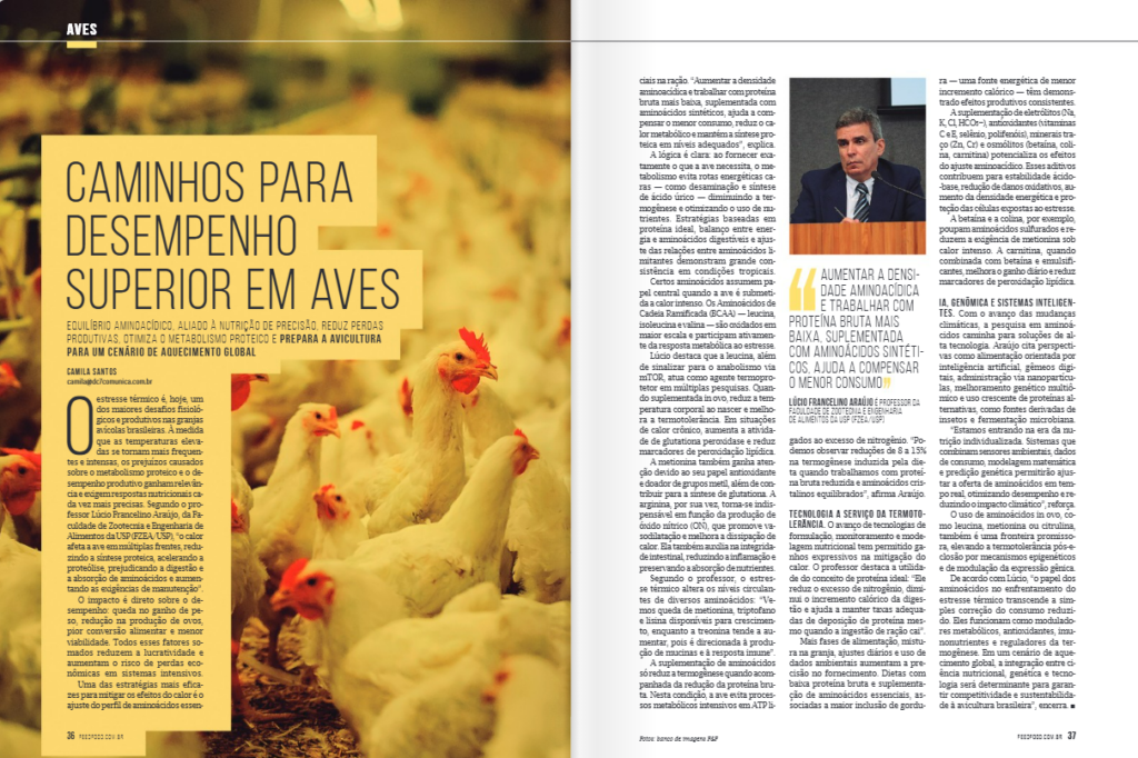 aves,estresse térmico,produtividade