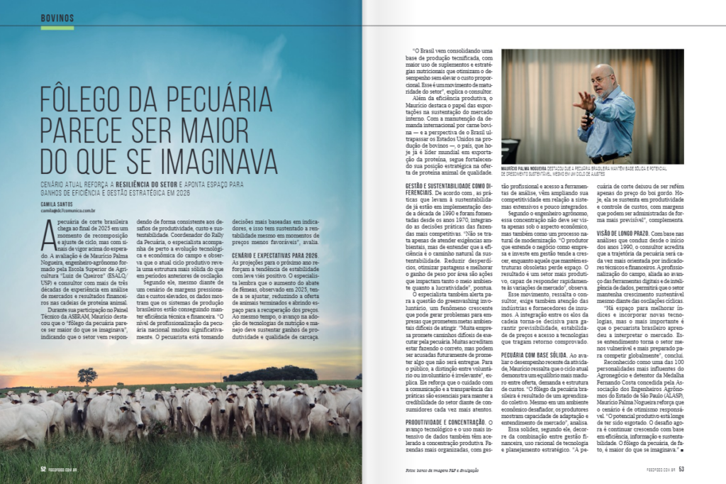 bovinos de corte,pecuária,bovinocultura