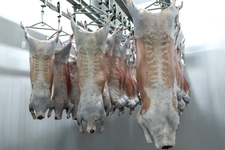 Frigorífico paulista conquista certificação Halal e amplia acesso ao mercado árabe para a venda de cordeiros