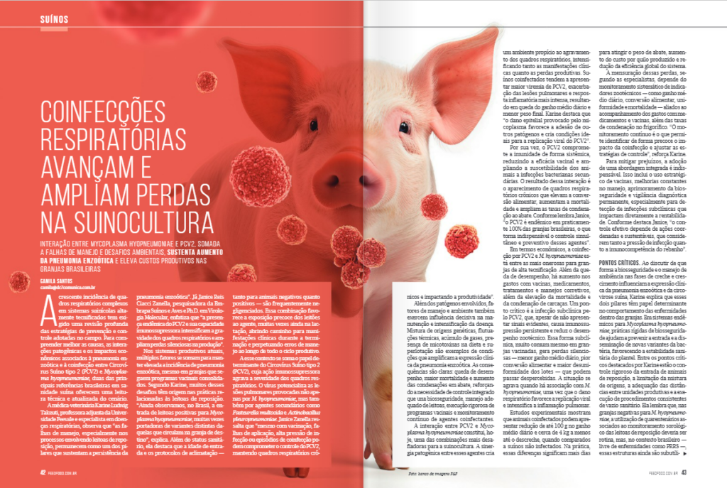 suinocultura,Circovírus suíno,mycoplasma hyopneumoniae