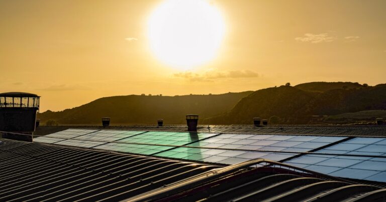 Aviagen lança Relatório de Sustentabilidade 2024 e reforça compromisso com genética responsável e resiliência produtiva