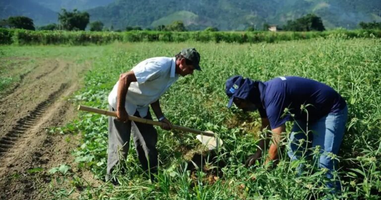 CNA analisa efeitos da reforma tributária sobre o agronegócio em seminário no Rio Grande do Sul