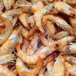 Consumo de camarão no Brasil cresce e país se consolida entre os maiores mercados globais