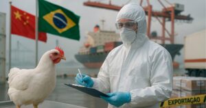 China reabre mercado para carne de frango do Rio Grande do Sul após controle sanitário