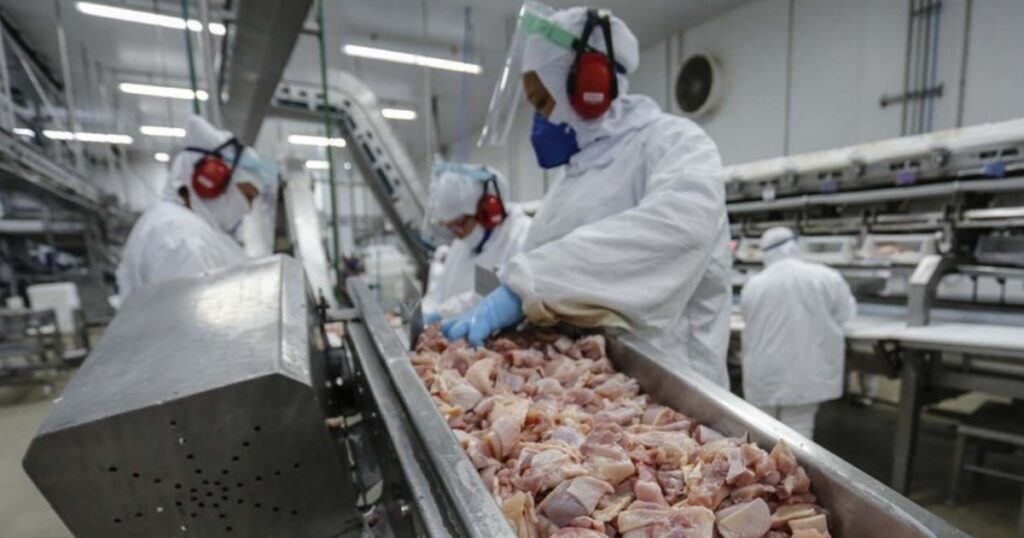 importação de frango Iraque
