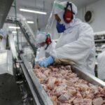 Paraguai volta ao radar da reciclagem animal brasileira após agenda bilateral em Assunção