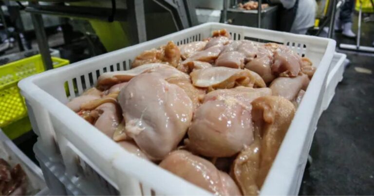 Iraque suspende importação de frango e acende alerta para exportadores brasileiros