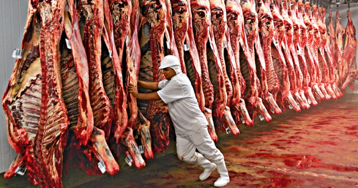 exportações de carne bovina