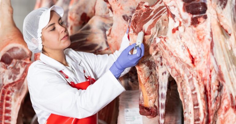 Mercado de proteína animal inicia 2026 com cenário de cautela e oportunidades