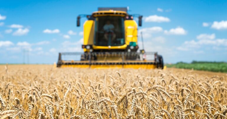 Produzir mais em menos área vira desafio central do agro diante do avanço da população mundial