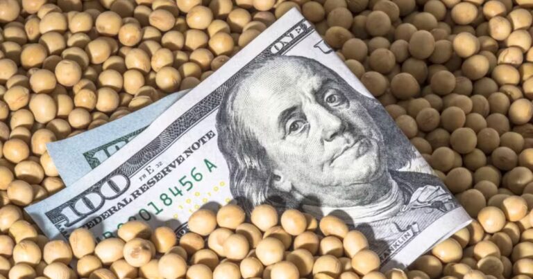 Queda do dólar e expectativa de safra recorde pressionam preços da soja