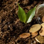 Recordes do agro expõem gargalo no seguro rural e ampliam risco financeiro no campo