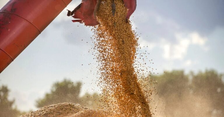 Brasil caminha para uma safra histórica de soja na temporada 2025/26, com volume de 179,5 milhões de toneladas