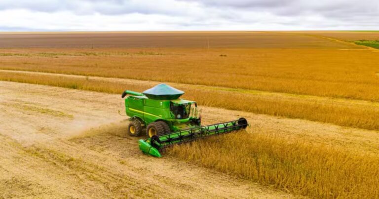 Bioinsumos e fertilizantes ganham espaço como estratégia contra déficit hídrico na soja em 2026