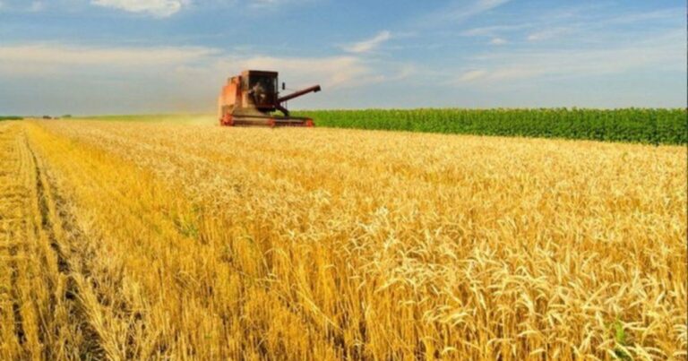 Rabobank Brasil coordena captação de R$ 1 bilhão para financiar clientes da divisão agrícola da Bayer
