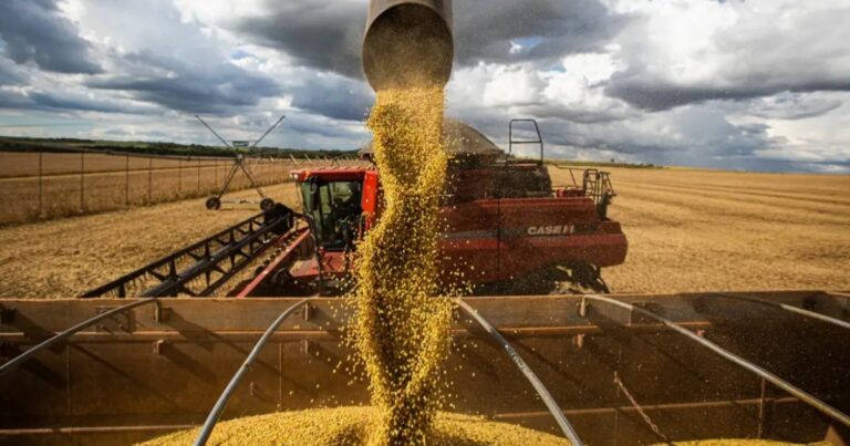 Safra de grãos cresce 113% desde 2012 e confirma salto de produtividade no campo brasileiro