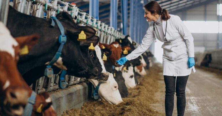 Brasil consolida posição de destaque no mercado global de saúde animal