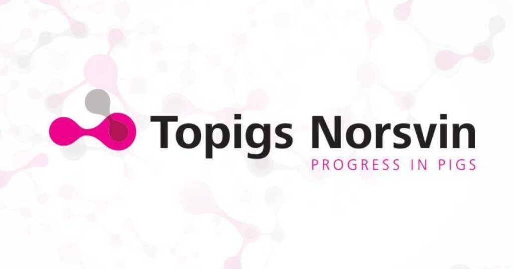 Topigs Norsvin no Brasil