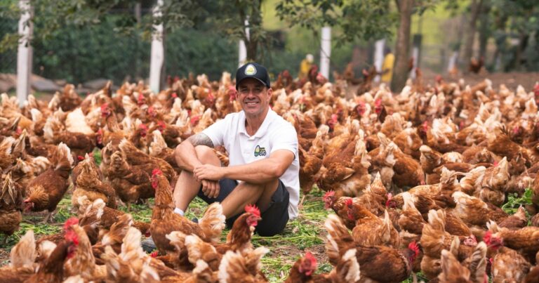 Turma do Ovo capta R$ 2,35 milhões para ampliar produção e fortalecer modelo de assinaturas