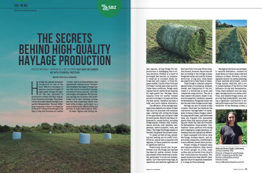 produção de haylage
