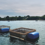 ADM celebra 15 anos de pesquisa em aquicultura com circuito técnico e novos avanços em nutrição