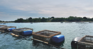 ADM celebra 15 anos de pesquisa em aquicultura com circuito técnico e novos avanços em nutrição