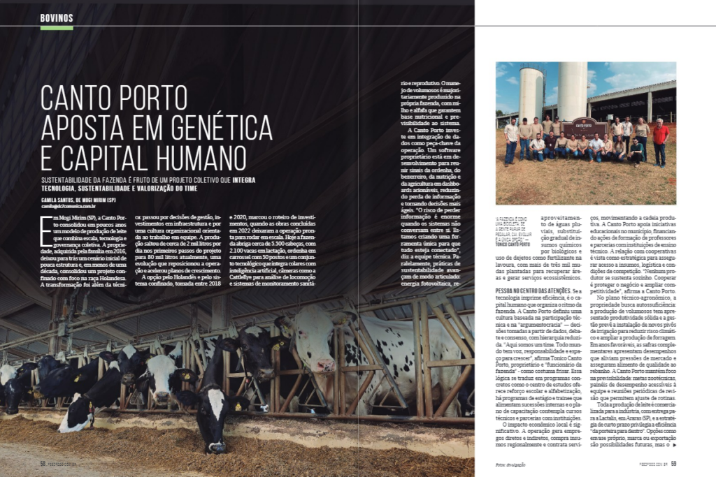 Canto Porto,pecuária leiteira,bovinocultura