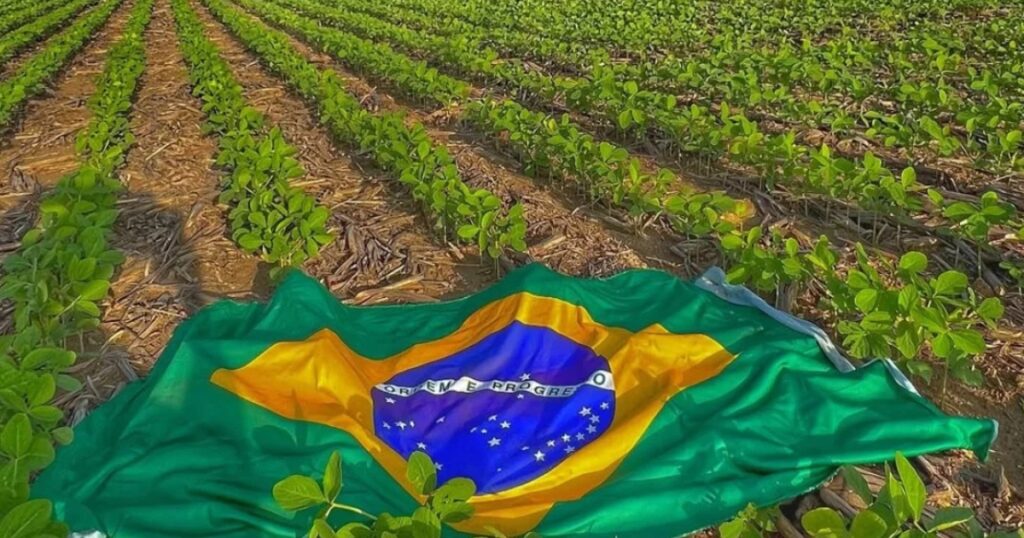 sustentabilidade no agro brasileiro